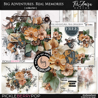 Big Adventures. Real Memories: Bundle by TirAmisu design 