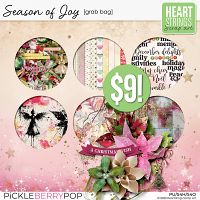 Season of Joy Grab Bag