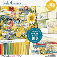 Fresh Moments Bundle by JB Studio