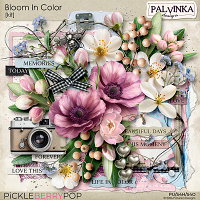 Bloom In Color Kit