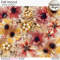 Fall Mood [flower overlays] by Sekada Designs