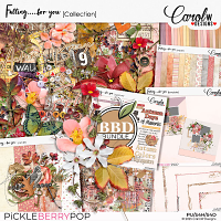 Falling.....for you: BBD Bundle