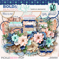 Bold & Beautiful Life: Add-On Elements
