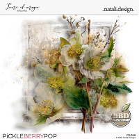 Time of magic brushes