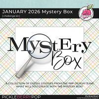 January 2026 Mystery Box