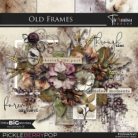 Old Frames by TirAmisu design 