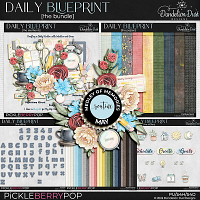 Daily Blueprint: Bundle