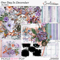 One Day In December-Bundle