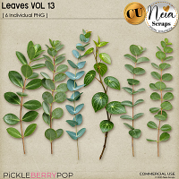Leaves VOL13 - CU - by Neia Scraps