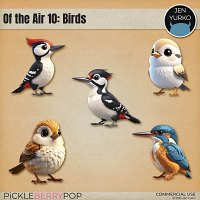 CU Of the Air 10: Birds