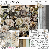 A Life in Pictures - Collection