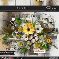 As It Is: by TirAmisu design