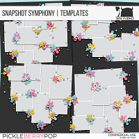 Snapshot Symphony | Templates