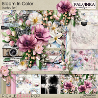 Bloom In Color Collection