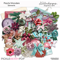 Playful Wonders Elements