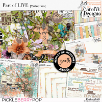 Part of LIVE-Collection