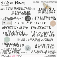 A Life in Pictures - Wordart