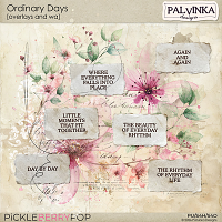 Ordinary Days Overlays and WA