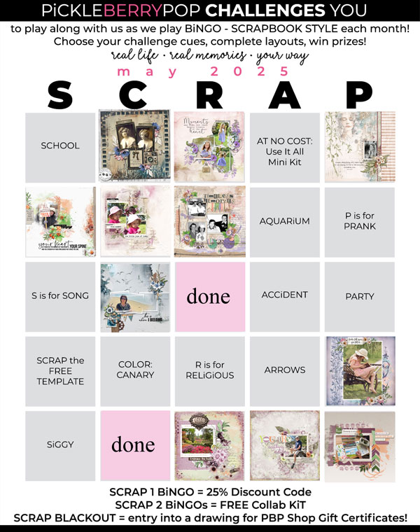 2025-05_pbp_scrapbook_bingo.jpg