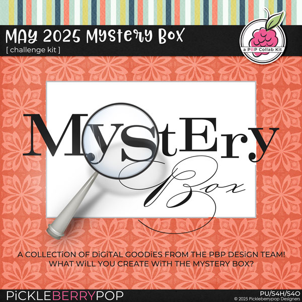 2025-05mysterybox.jpg 2025-05mysterybox.jpg