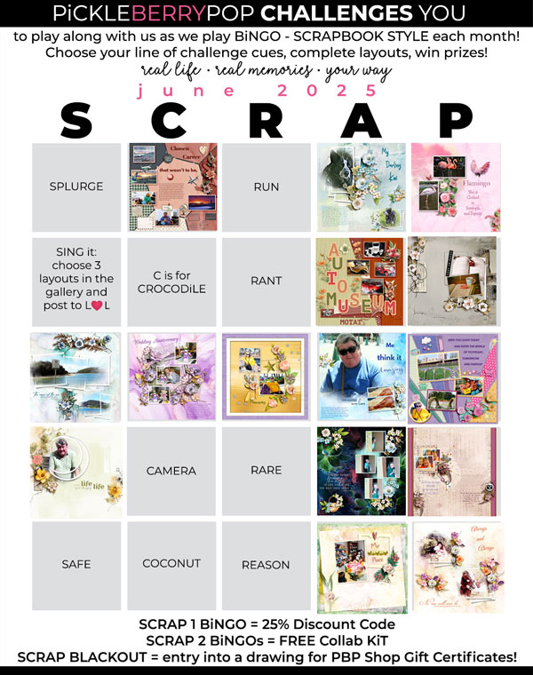 2025-06_pbp_scrapbook_bingo.jpg