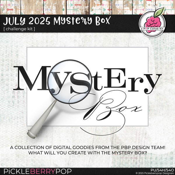 2025-07mysterybox.jpg
