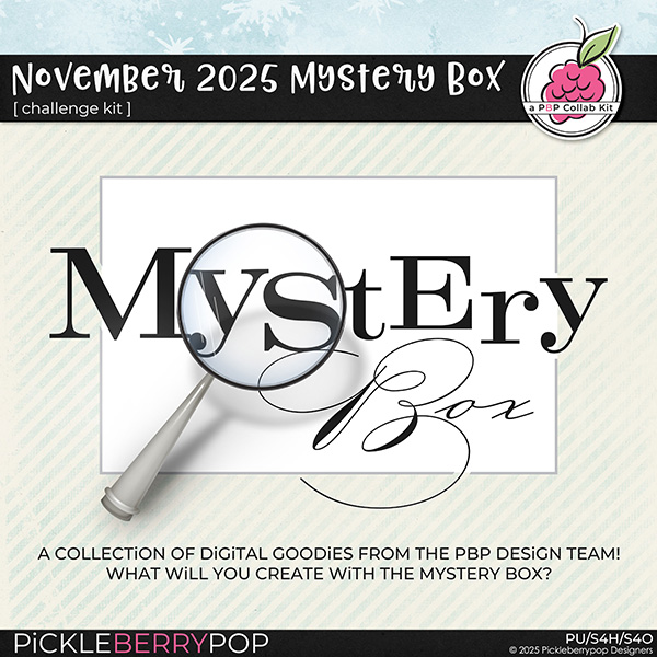 2025-11mysterybox.jpg