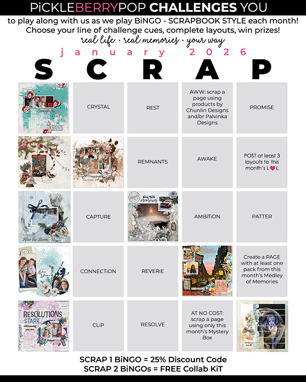 2026-01_pbp_scrapbook_bingox.jpg