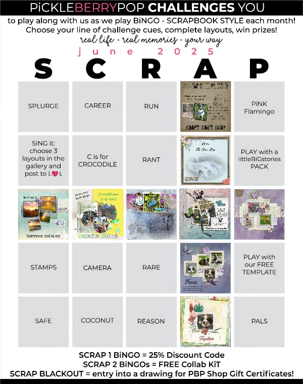 June Bingo PBP.jpg