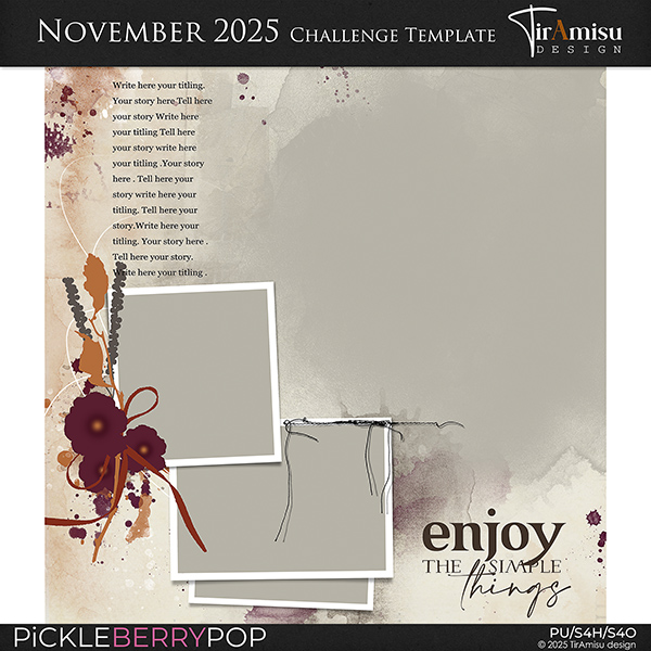 trmisuD_Nov2025_challenge_T.jpg