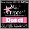 star_scrapper_overall_dorci.jpg
