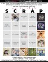 2025-04_pbp_scrapbook_bingo-anja02.jpg