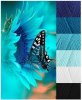 59508a5fb1b28ec07ad6bd3c351cd7d3.jpg