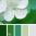 02color-palette-3227.png.jpg