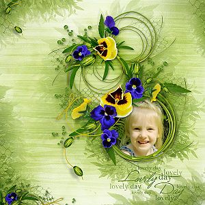 My Album