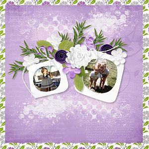 Booland Designs - MiniBoo 15 - Barbara50