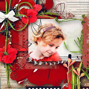 Poppy Diary by sarahh graphics