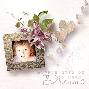 hold on to your dreams