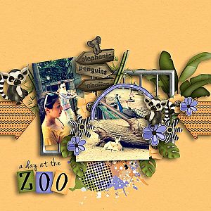 zoo