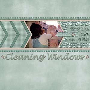 Cleaning Windows