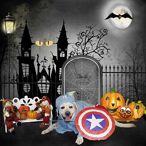 pbp-oct-2013-pickle-theft