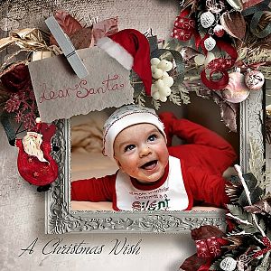 A Christmas wish