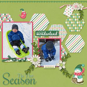 Blue Heart Scraps - Winter Wonder / Jen C Designs - Lil Bits TP3