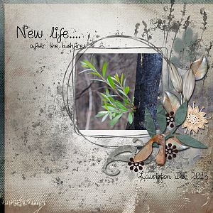 New Life