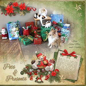 Pets & Presents