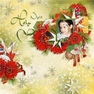 holy night
