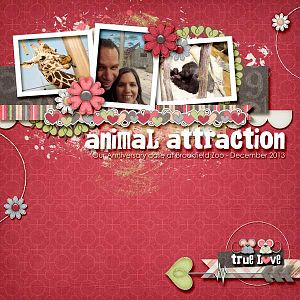 Animal Attraction