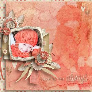 Soft Spoken Love