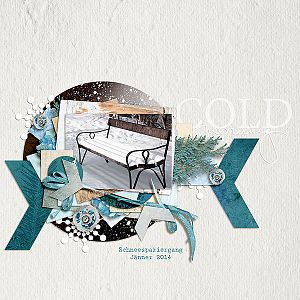 027-Cold-pbp