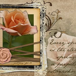 {perpetual}rose